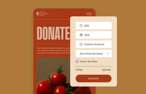 Donation form on a nonprofit website showing preset amounts, custom donation option, one-time donation selection, and a “Cover the fees” checkbox with total displayed.